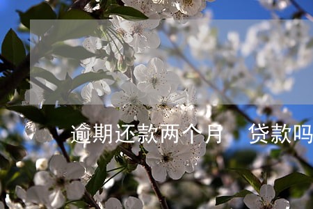 逾期还款两个月 贷款吗 逾期还款两个月 贷款吗